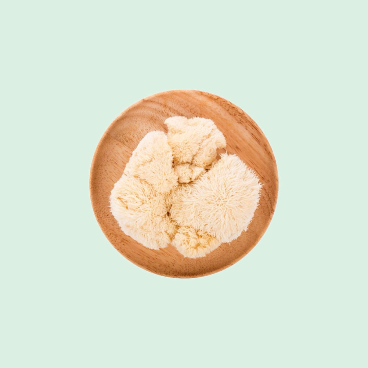 LION'S MANE - Svampen der booster fokus, flow og work-life balance