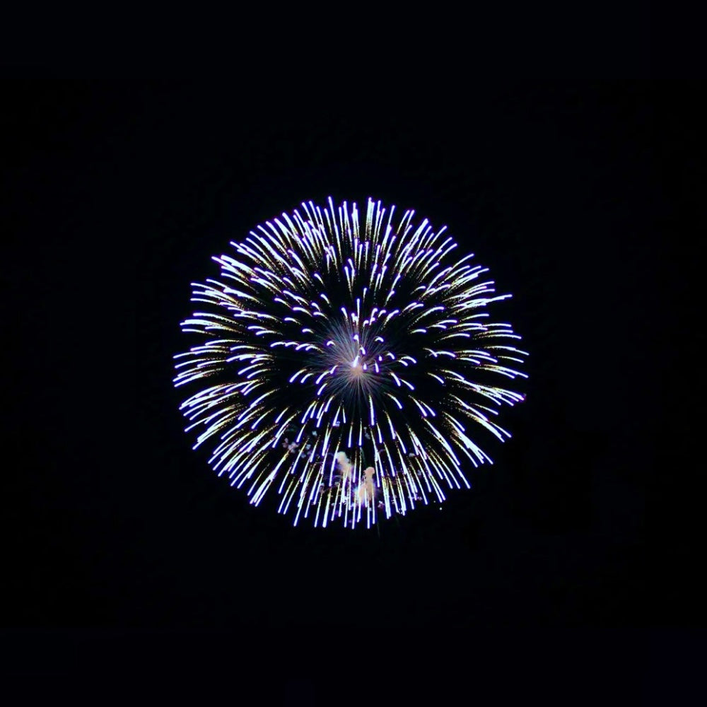 Årets favoritter <3