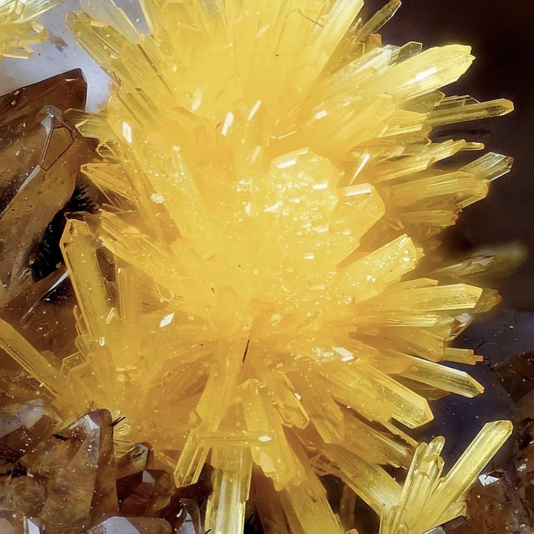 MSM - Det naturlige skønhedsmineral, der også booster din træningsrestitution